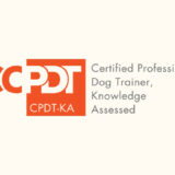 【図解】世界基準のドッグトレーナー資格「CPDT-KA」とは？飼い主に向けてわかりやすく解説！