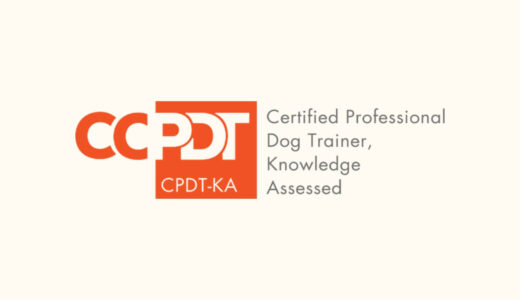 【図解】世界基準のドッグトレーナー資格「CPDT-KA」とは？飼い主に向けてわかりやすく解説！