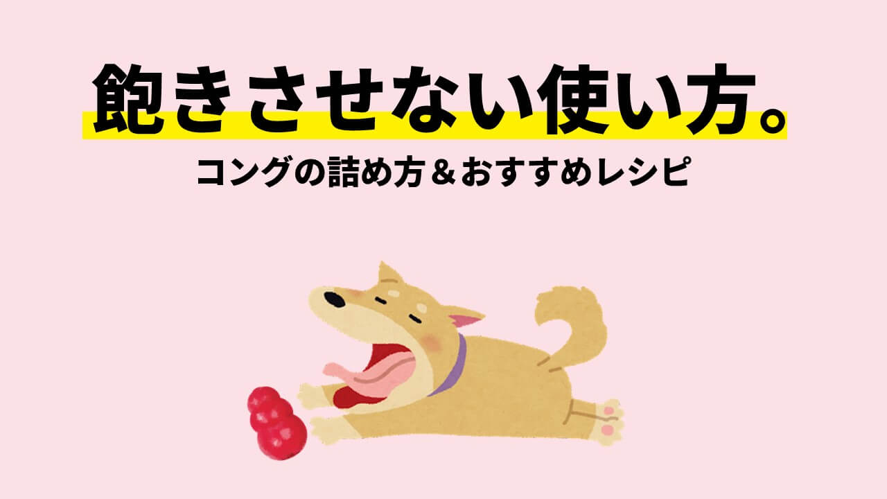 飽きさせない コングの詰め方とおすすめレシピ かんたん手作り Shippo Dog