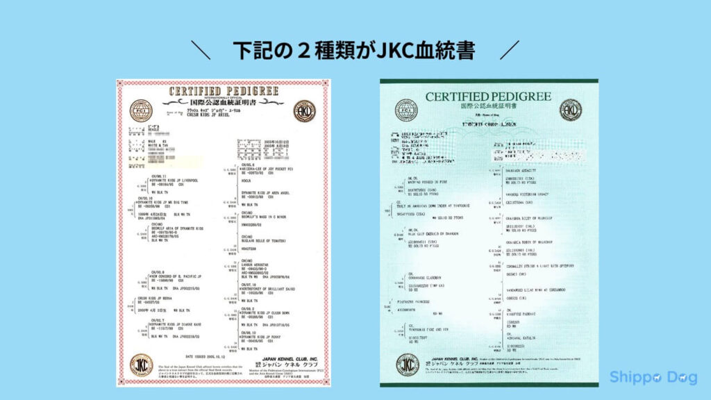下記の２種類がJKC血統書