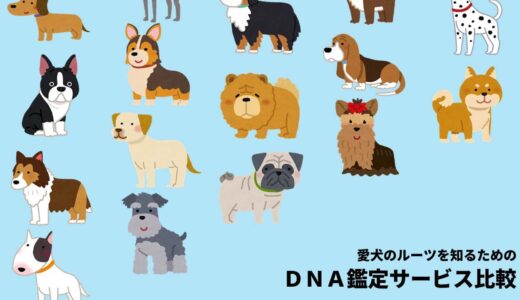 【厳選】愛犬のルーツを知る！DNA鑑定サービス比較【メリット・デメリット】